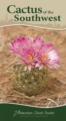 Kaktusy jihozápadu: Kaktusy na západě Jihozápadu: Jak snadno rozpoznat kaktusy? - Cactus of the Southwest: Your Way to Easily Identify Cacti