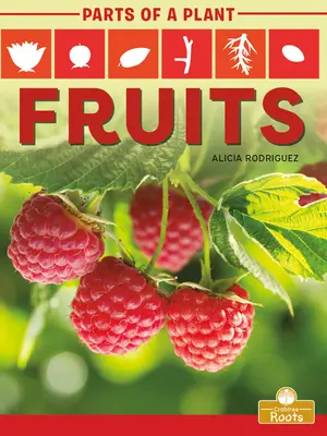 Ovoce - Fruits