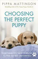 Výběr ideálního štěněte - Choosing the Perfect Puppy