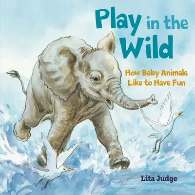 Hra v divočině: Jak se mláďata zvířat ráda baví - Play in the Wild: How Baby Animals Like to Have Fun