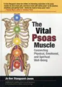 Vitální sval psoas - propojení fyzické, emocionální a duchovní pohody - Vital Psoas Muscle - Connecting Physical, Emotional, and Spiritual Well-Being