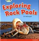 Klub brouků Řízená literatura faktu 1. ročník Zelená C Zkoumání skalních jezírek - Bug Club Guided Non Fiction Year 1 Green C Exploring Rock Pools