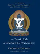 Tantrická cesta nezničitelné bdělosti - The Tantric Path of Indestructible Wakefulness
