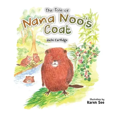 Příběh o kabátu Nany Noo - The Tale of Nana Noo's Coat