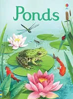 Rybníky - Ponds