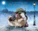 Morče Oliver Twist - Guinea Pig Oliver Twist