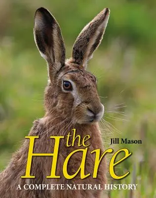 Zajíc - The Hare