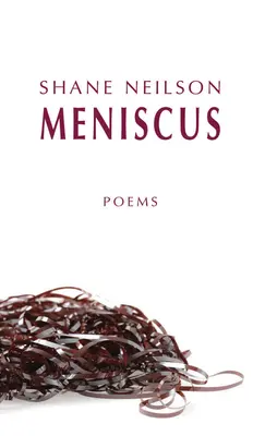 Meniskus - Meniscus