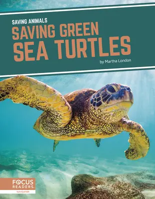 Záchrana želv zelenavých - Saving Green Sea Turtles