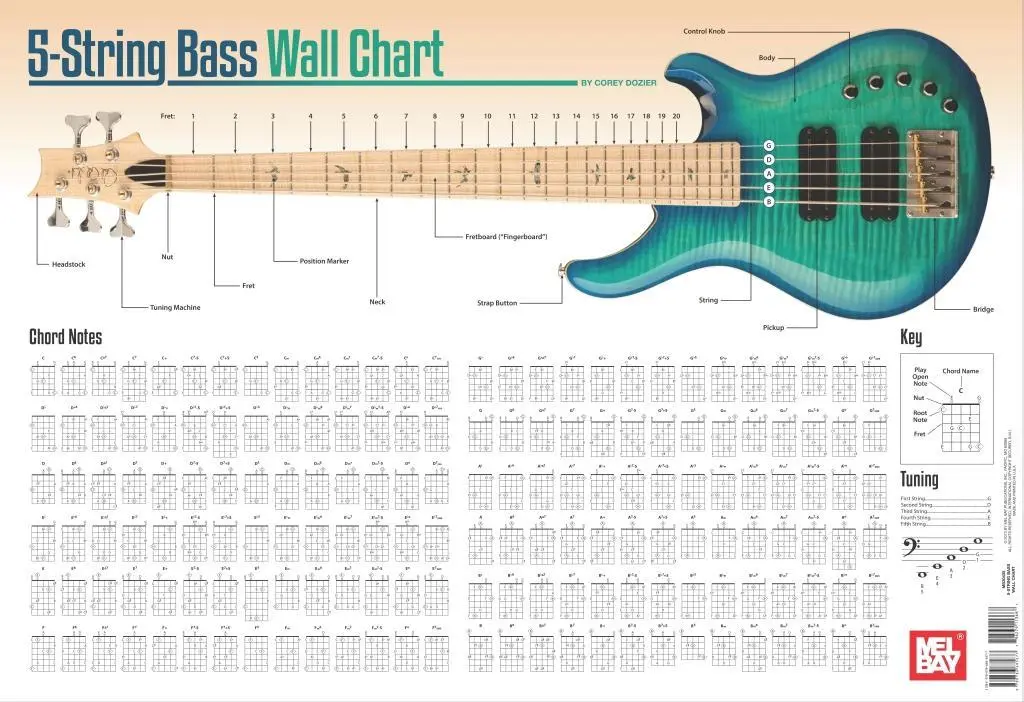 Nástěnná tabulka pro pětistrunnou baskytaru - 5-String Bass Wall Chart