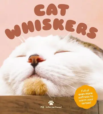 Kočičí fousky - Cat Whiskers