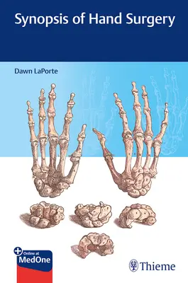 Synopse chirurgie ruky - Synopsis of Hand Surgery