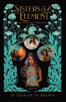 Sestry z živlu: Kniha první z kronik rodiny Lunových - Sisters of Element: Book One of the Luna Family Chronicles