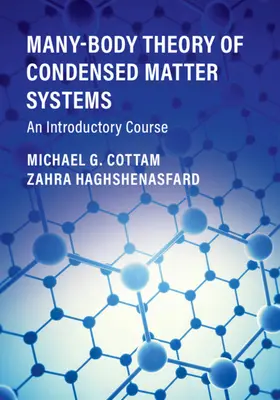 Teorie mnoha těles v systémech kondenzovaných látek: An Introductory Course: An Introductory Course - Many-Body Theory of Condensed Matter Systems: An Introductory Course