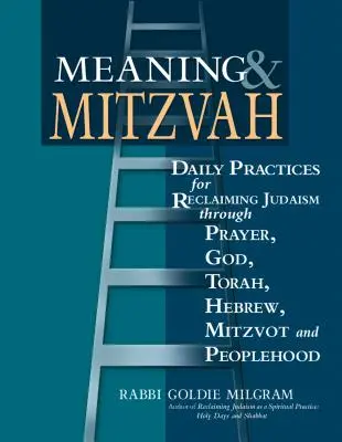 Smysl a micva: Vydání: Denní praxe pro znovuzískání judaismu skrze modlitbu, Boha, Tóru, hebrejštinu, micvot a lidskost. - Meaning & Mitzvah: Daily Practices for Reclaiming Judaism Through Prayer, God, Torah, Hebrew, Mitzvot and Peoplehood