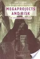 Megaprojekty a rizika - Megaprojects and Risk