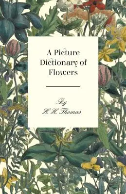 Obrázkový slovník květin - A Picture Dictionary of Flowers
