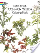 Omalovánky obyčejných plevelů - Common Weeds Coloring Book