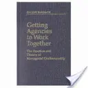 Jak přimět agentury ke spolupráci: Praxe a teorie manažerského řemesla - Getting Agencies to Work Together: The Practice and Theory of Managerial Craftsmanship