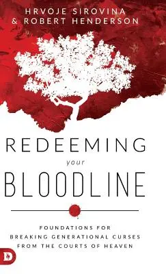 Vykoupení vaší krevní linie: Základy prolomení generačních prokletí z nebeských dvorů - Redeeming Your Bloodline: Foundations for Breaking Generational Curses from the Courts of Heaven