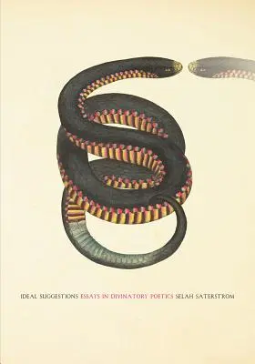 Ideální návrhy: Eseje z divinační poetiky - Ideal Suggestions: Essays in Divinatory Poetics