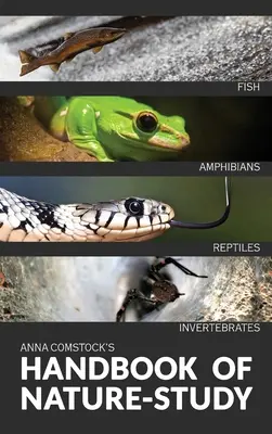 Příručka barevného přírodopisu - Ryby, plazi, obojživelníci, bezobratlí - The Handbook Of Nature Study in Color - Fish, Reptiles, Amphibians, Invertebrates