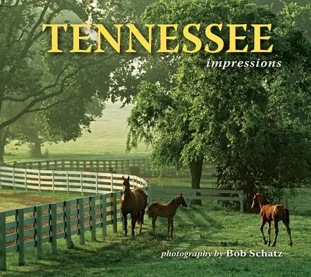 Dojmy z Tennessee - Tennessee Impressions