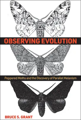 Pozorování evoluce: Můry peprné a objev paralelního melanismu - Observing Evolution: Peppered Moths and the Discovery of Parallel Melanism