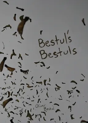 Bestulky z Bestulky - Bestul's Bestuls