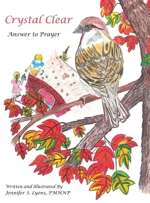 Křišťálově čistý: Odpověď na modlitbu - Crystal Clear: Answer to Prayer