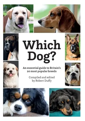 Který pes - Which Dog