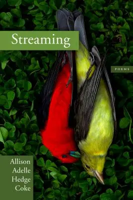 Streamování - Streaming