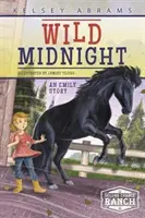 Divoká půlnoc: Příběh Emily - Wild Midnight: An Emily Story