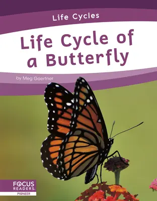 Životní cyklus motýla - Life Cycle of a Butterfly