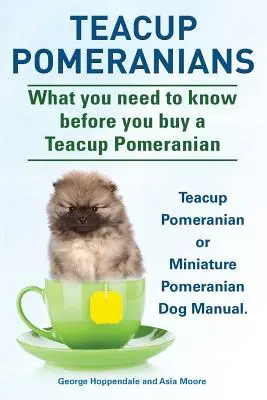 Pomerančové v barvě teacup. Příručka pro psy plemene miniaturní pomeranian nebo teacup pomeranian. Co byste měli vědět, než si pořídíte teacup pomeraniana. - Teacup Pomeranians. Miniature Pomeranian or Teacup Pomeranian Dog Manual. What You Need to Know Before You Buy a Teacup Pomeranian.