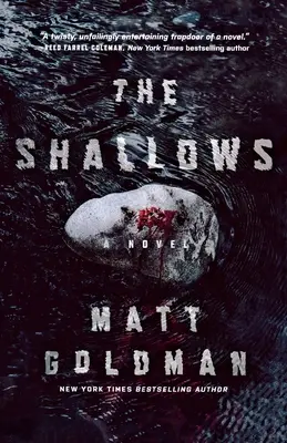 Mělčiny: Nils Shapiro Novel - The Shallows: A Nils Shapiro Novel