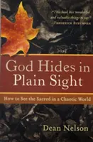 Bůh se skrývá na první pohled: Jak vidět posvátno v chaotickém světě - God Hides in Plain Sight: How to See the Sacred in a Chaotic World