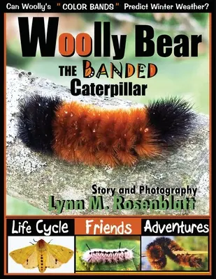 Housenka pásovec vlnkovaný: Životní cyklus, kamarádi a dobrodružství - Woolly Bear the Banded Caterpillar: Life Cycle, Friends and Adventures