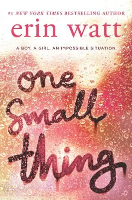 Jedna malá věc - One Small Thing