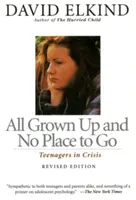 Všichni dospěli a nemají kam jít: Dospívající v krizi - All Grown Up and No Place to Go: Teenagers in Crisis
