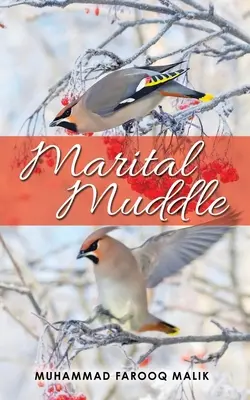 Manželský zmatek - Marital Muddle