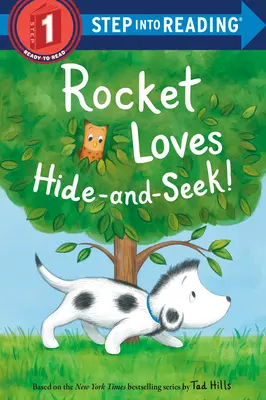 Raketa miluje schovávanou! - Rocket Loves Hide-And-Seek!