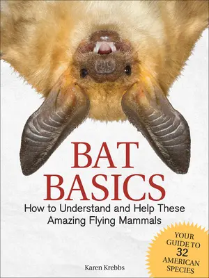 Základy netopýrů: Jak porozumět těmto úžasným létajícím savcům a pomoci jim - Bat Basics: How to Understand and Help These Amazing Flying Mammals