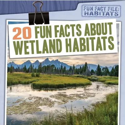 20 zábavných faktů o mokřadních biotopech - 20 Fun Facts about Wetland Habitats