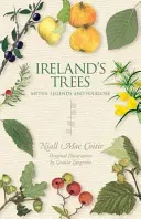 Irské stromy - Ireland's Trees