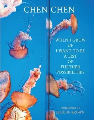 Až vyrostu, chci být seznamem dalších možností - When I Grow Up I Want to Be a List of Further Possibilities