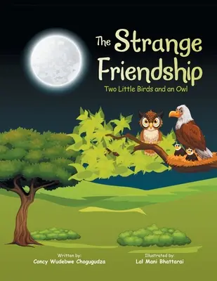 Podivné přátelství: Dva malí ptáčci a sova - The Strange Friendship: Two Little Birds and an Owl