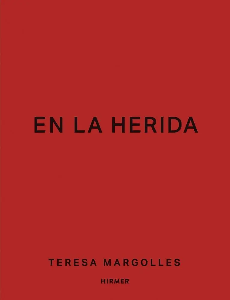 Teresa Margollesová: Jak jsem viděla, že jsem viděla: En La Herida - Teresa Margolles: En La Herida