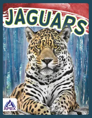 Jaguáři - Jaguars