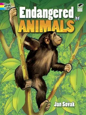 Omalovánky ohrožených zvířat - Endangered Animals Coloring Book